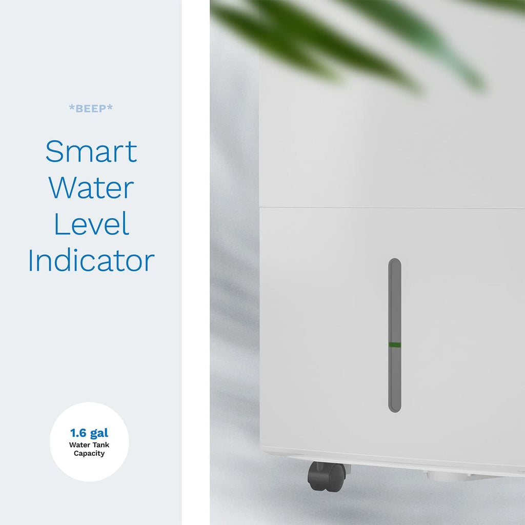 hOmeLabs 4000 Sq. Ft. Dehumidifier with Pump - Ideal for Large Rooms, Home Basements and Whole House - Powerful Moisture Removal and Humidity Control - 50 Pint Capacity