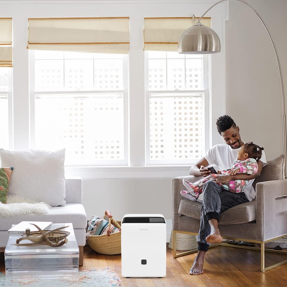 60 Pint Dehumidifier