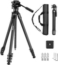 NEEWER 60.4' Travel Tripod Carbon Fiber with Detachable Damped Fluid Head, Lightweight Video Camera Stand with Metal Quick Flip Buckle, Arca Type QR Plate Compatible with PD, LT37