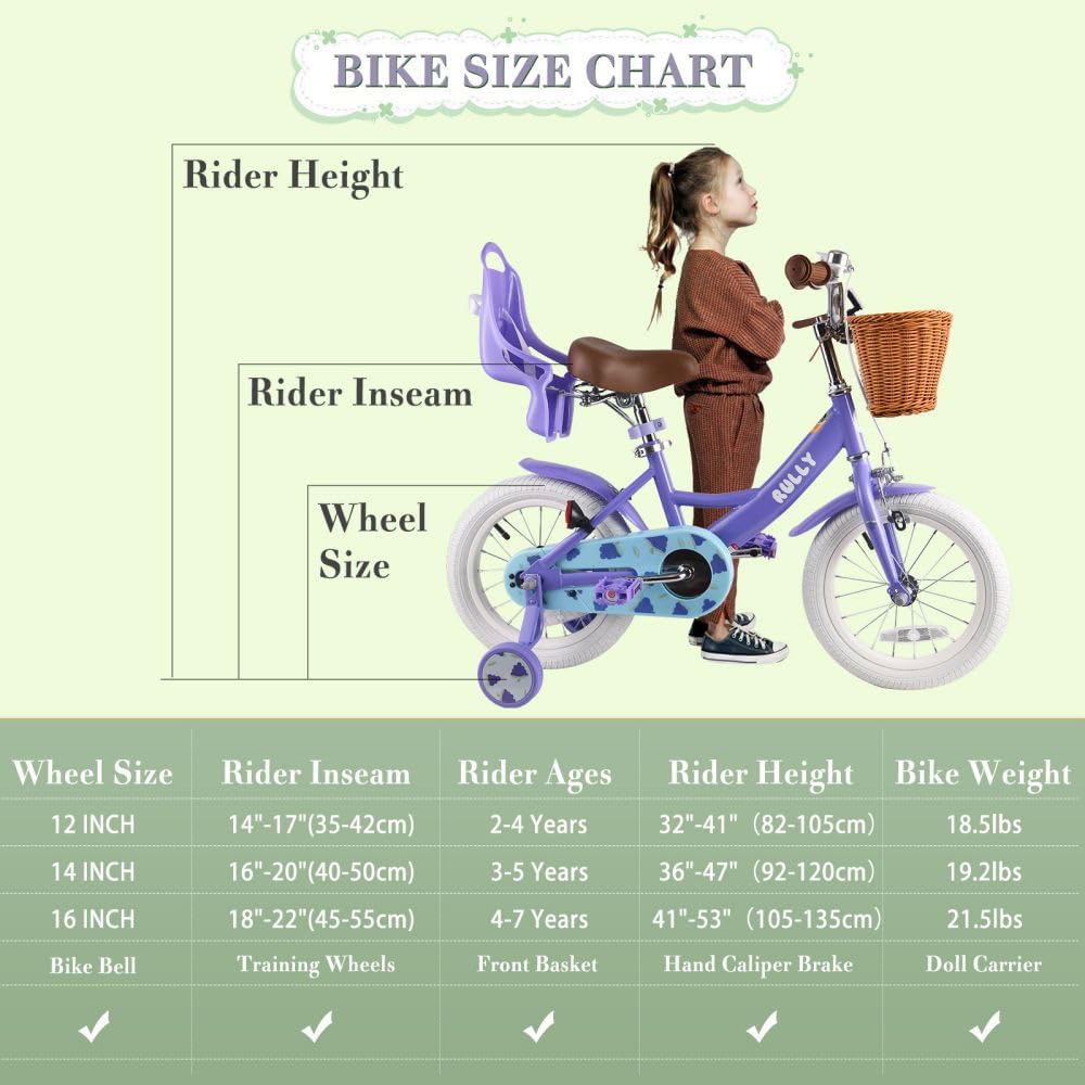 RULLY Fruit Kids Bike 12 14 16 Inch Bicycle for Girls Ages 2-7 Years, Training Wheels Included, Girl Bikes with Basket & Doll Seat | 12, 14, 16, Inch, Bicycle
