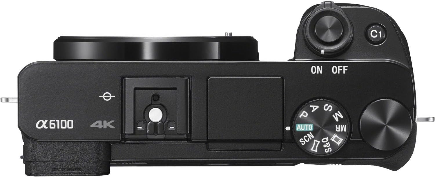 Sony a6100 Mirrorless Camera with Sony E PZ 16-50mm f/3.5-5.6 OSS II Lens + Sony GP-VPT3 Wireless Shooting Grip + SanDisk Extreme Pro 64GB and More (16pc Bundle)