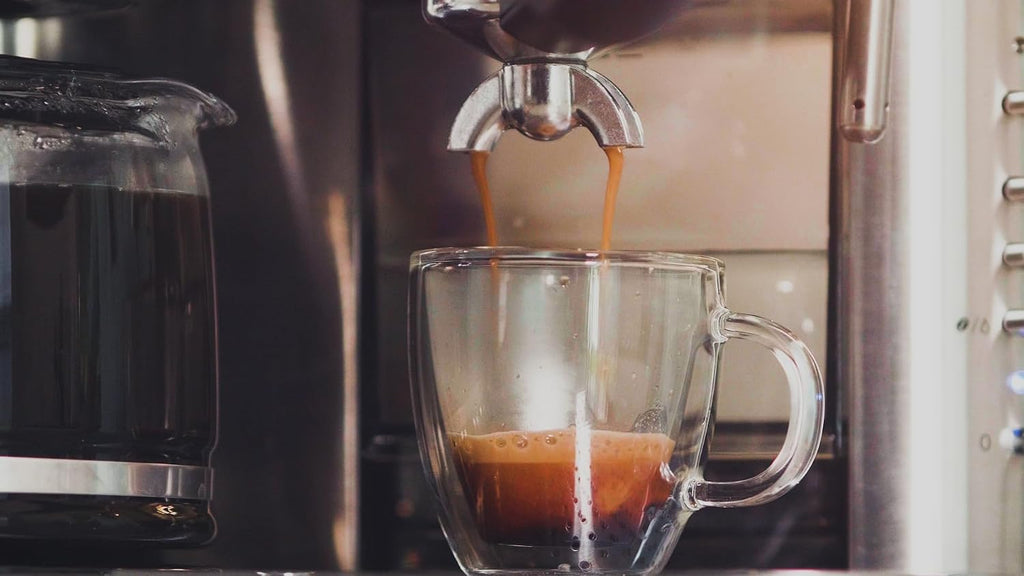Espressione Combination Stainless Steel Espresso + Coffee Maker, 10 cups