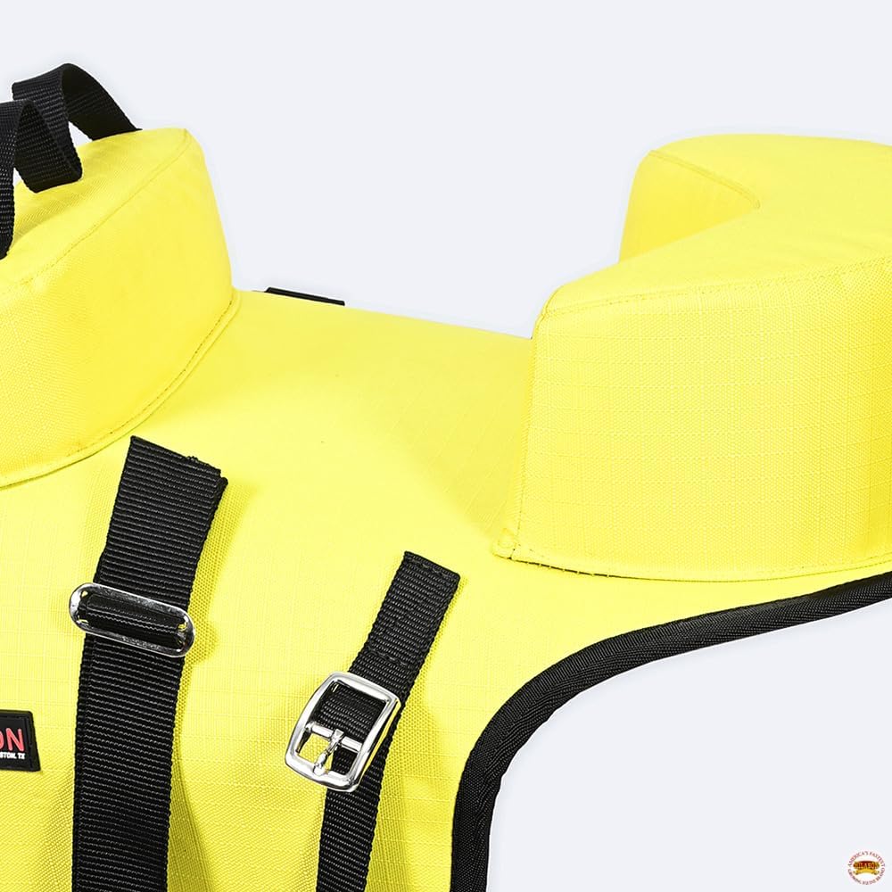 HILASON Western Horse Saddle Buddy Seat for Kids | Compatible with Horses Children Junior Equestrian