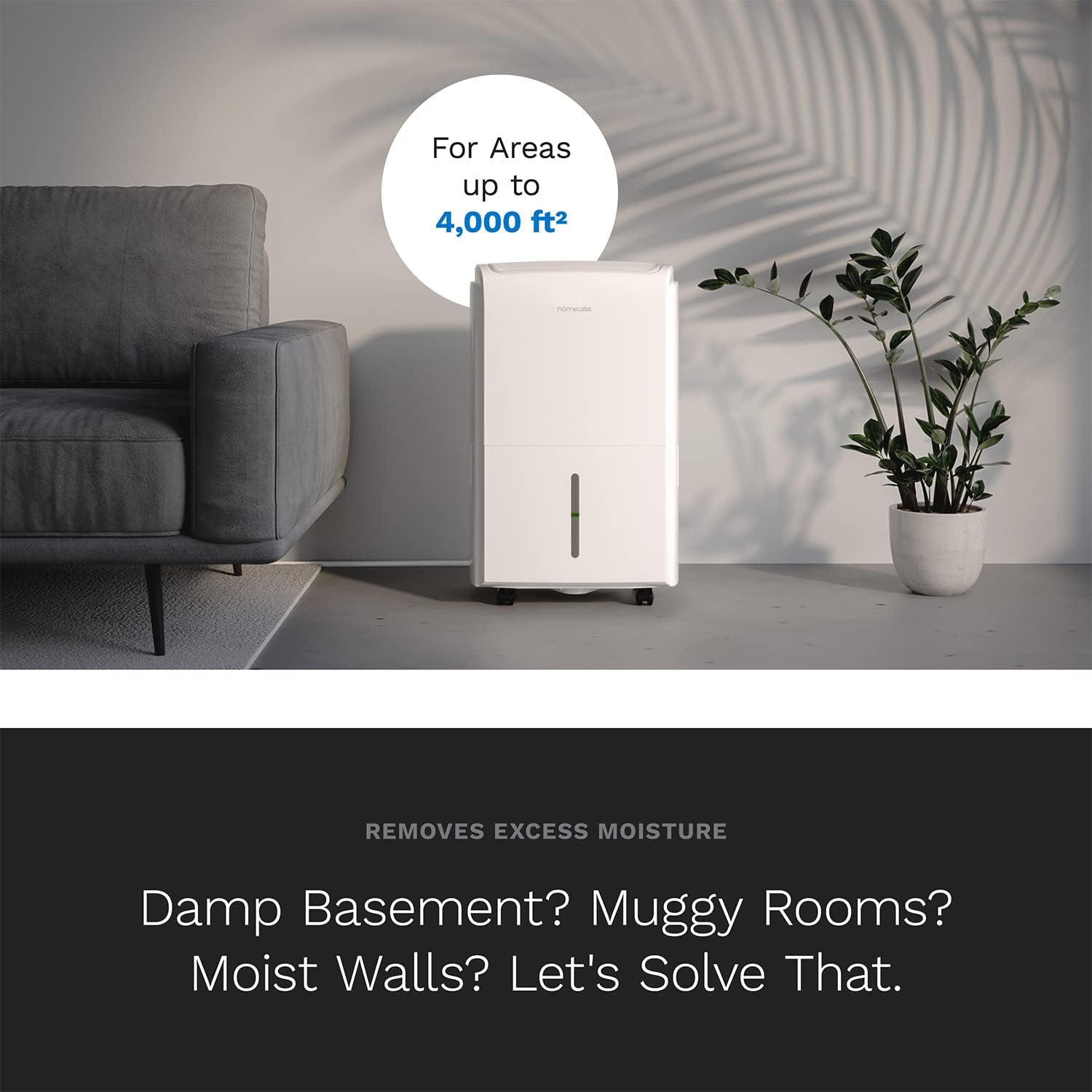 hOmeLabs 4000 Sq. Ft. Dehumidifier with Pump - Ideal for Large Rooms, Home Basements and Whole House - Powerful Moisture Removal and Humidity Control - 50 Pint Capacity
