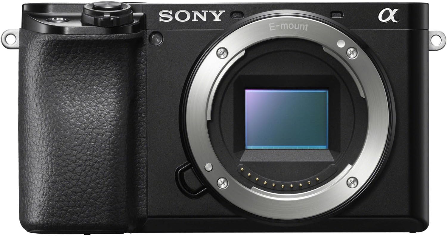 Sony Alpha A6100 Mirrorless Camera, Black (Value Bundle)