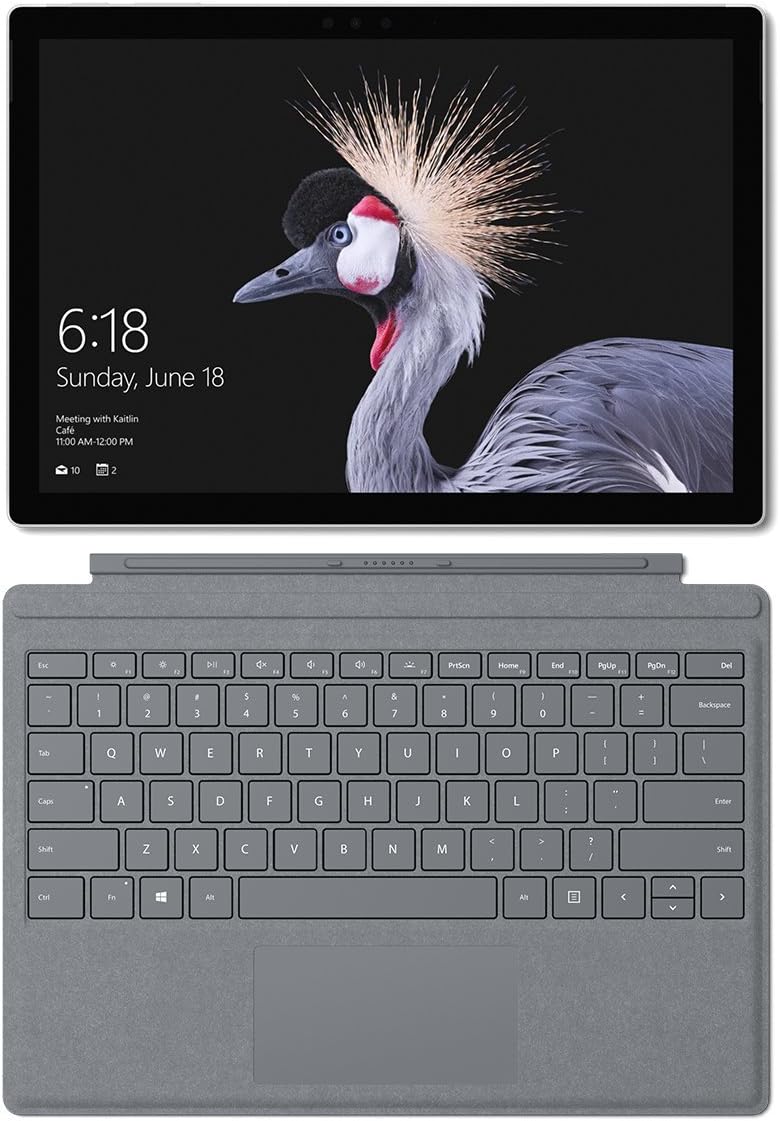 Microsoft Surface Pro (Intel Core i5, 8GB RAM, 128GB) with Platinum Type Cover Bundle (Renewed)