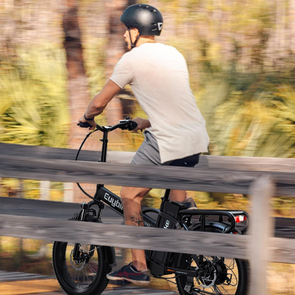 bluebiko 1000W Folding Electric Bike, 48V 20AH Large Removable Battery E Bike, 80 Miles Max Range, 20' Fat Tire Electric Bike for Adults, Adult Electric Bicycles for Commute Beach Snow