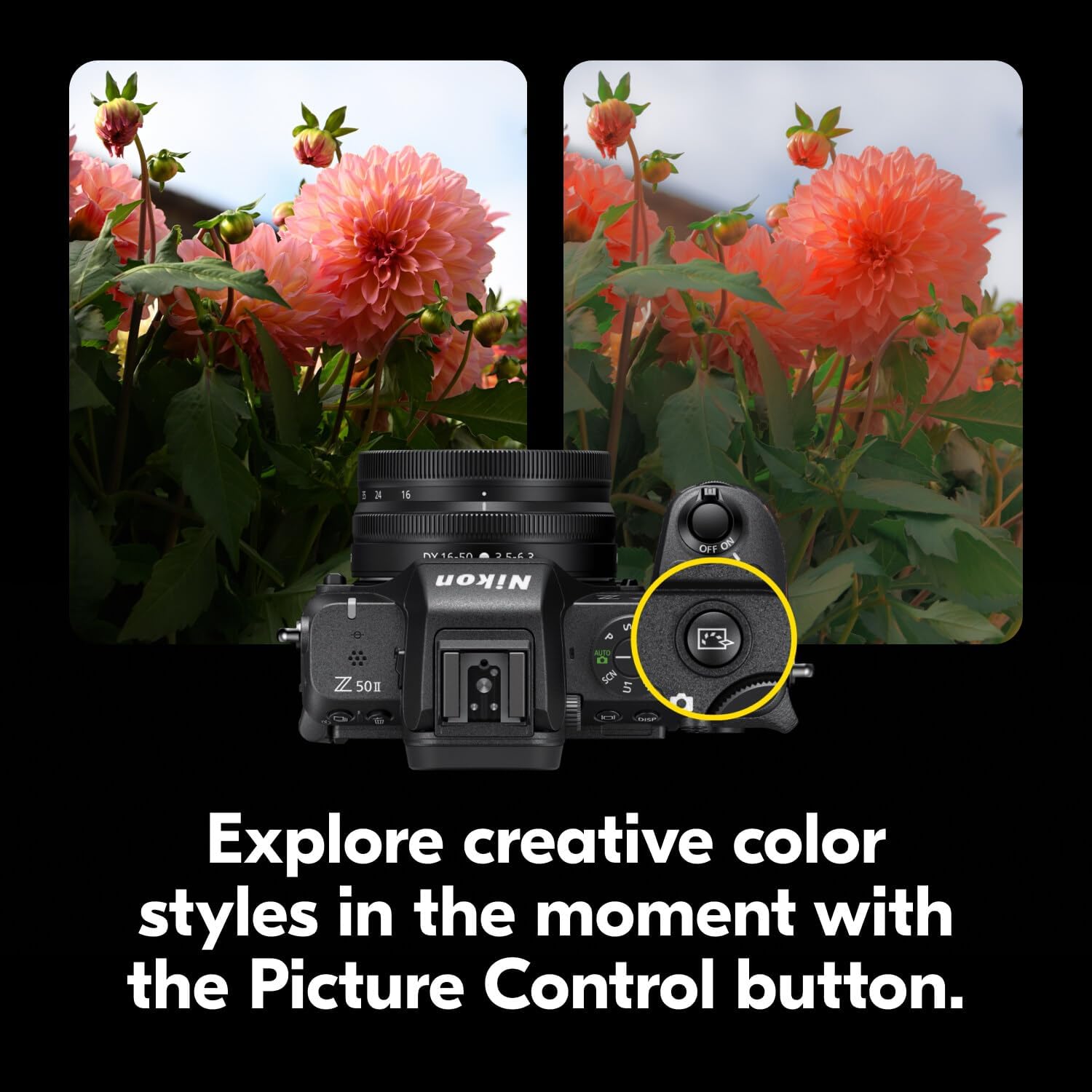 Nikon Z50 II with Wide-Angle Zoom Lens | Compact mirrorless Stills/Video Camera with Easy Color presets and Wireless Photo Sharing | Nikon USA Model