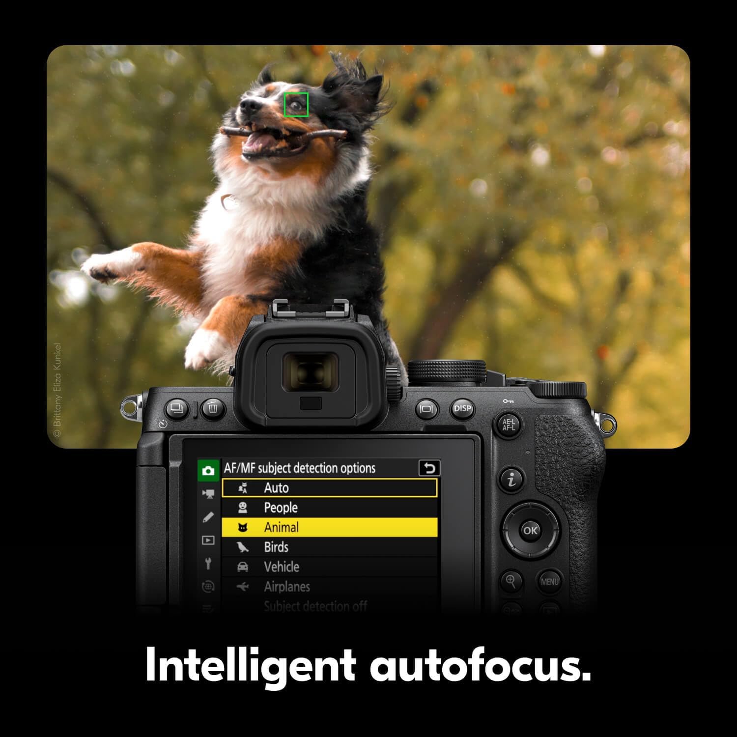 Nikon Z50 II | Compact mirrorless Stills/Video Camera with Easy Color presets and Wireless Photo Sharing | Nikon USA Model