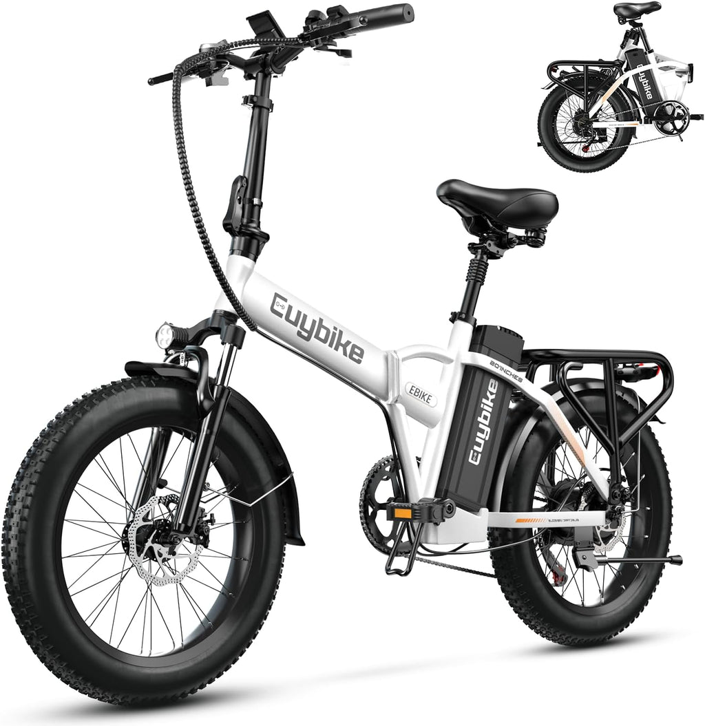 bluebiko 1000W Folding Electric Bike, 48V 20AH Large Removable Battery E Bike, 80 Miles Max Range, 20' Fat Tire Electric Bike for Adults, Adult Electric Bicycles for Commute Beach Snow