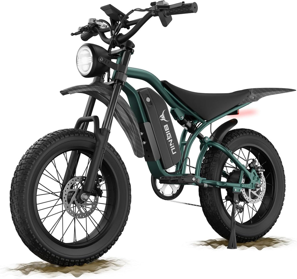 BIGNIU BG-S Electric Bike for Adults – 20'x4.5' Fat Tire, 1200W Motor, 48V 15Ah Battery, 7-Speed, Dual Disc Brakes for Off-Road and City Riding