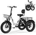 Qlife Triker Plus Electric Trike for Adults, Peak 1200W Motor Floding Trike Ebike, 624Wh E-Bike, 20MPH 65 Miles Electric Tricycle for Adults, 20x4.0 Fat Tire E-Bike, Foldable 3 Wheel for Adults