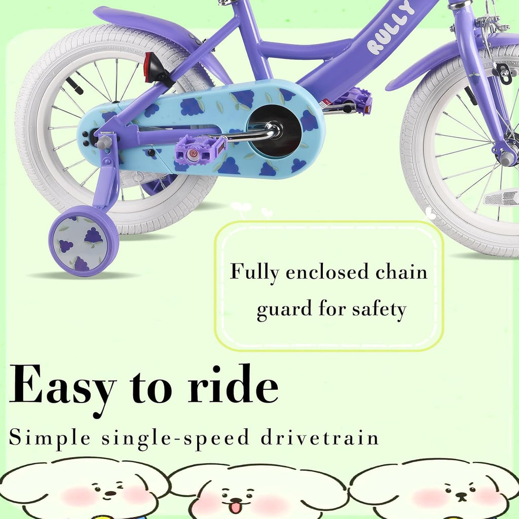 RULLY Fruit Kids Bike 12 14 16 Inch Bicycle for Girls Ages 2-7 Years, Training Wheels Included, Girl Bikes with Basket & Doll Seat | 12, 14, 16, Inch, Bicycle