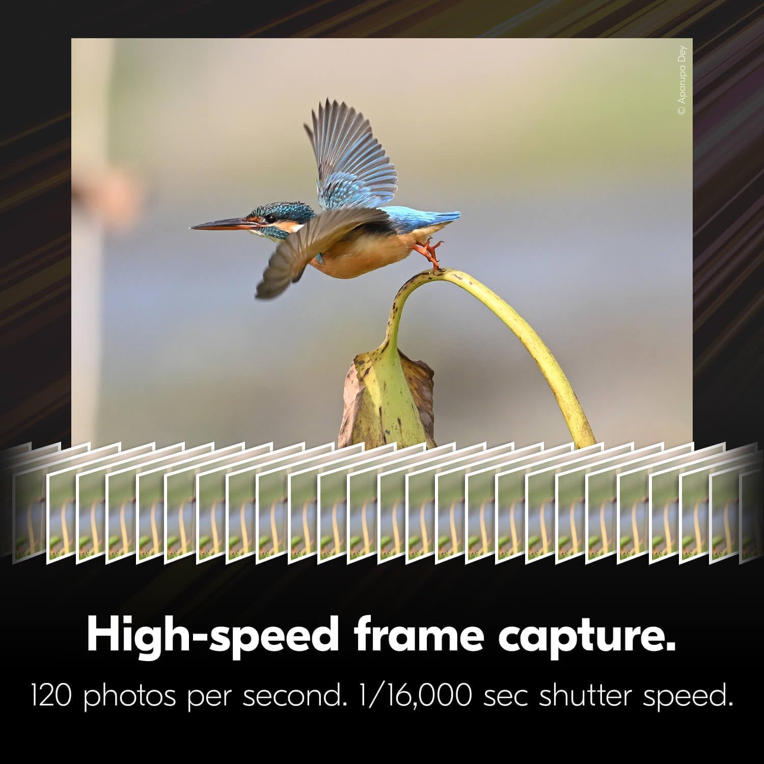 Nikon Z6 III with 24-70mm f/4 Lens | Full-Frame mirrorless Stills/Video Camera with 6K/60p Internal RAW Recording | Nikon USA Model