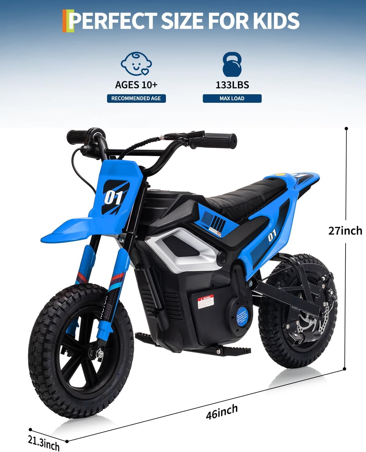 GarveeLife Electric Dirt Bike for Teens, 12' Fat Tire 350W Electric Motorcycle with 24V Battery, 14MPH Top Speed, 130 LBS Max Load, Mini Dirtbike for Kids, Mountain Off-Road Bike Fit Age 10+