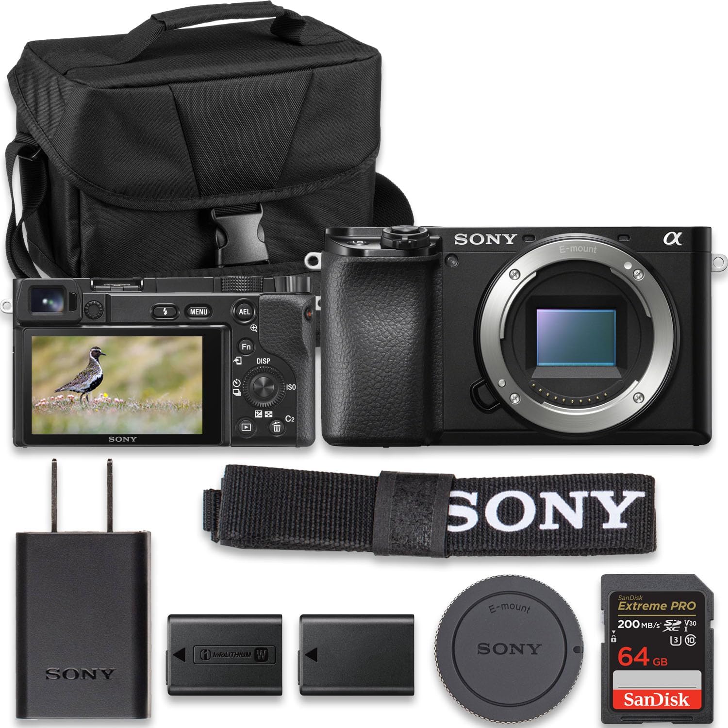 Sony Alpha A6100 Mirrorless Camera, Black (Value Bundle)
