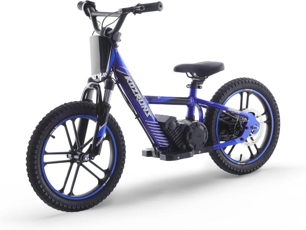 TUIBOKA Electric Dirt Bike for Kids, Professional Version, Electric Motorcycle with 500W Powerful Brushless Motor, 14 MPH, 16 Inch Off Road Tires, Adjustable Seat for Ages 5-12 Blue
