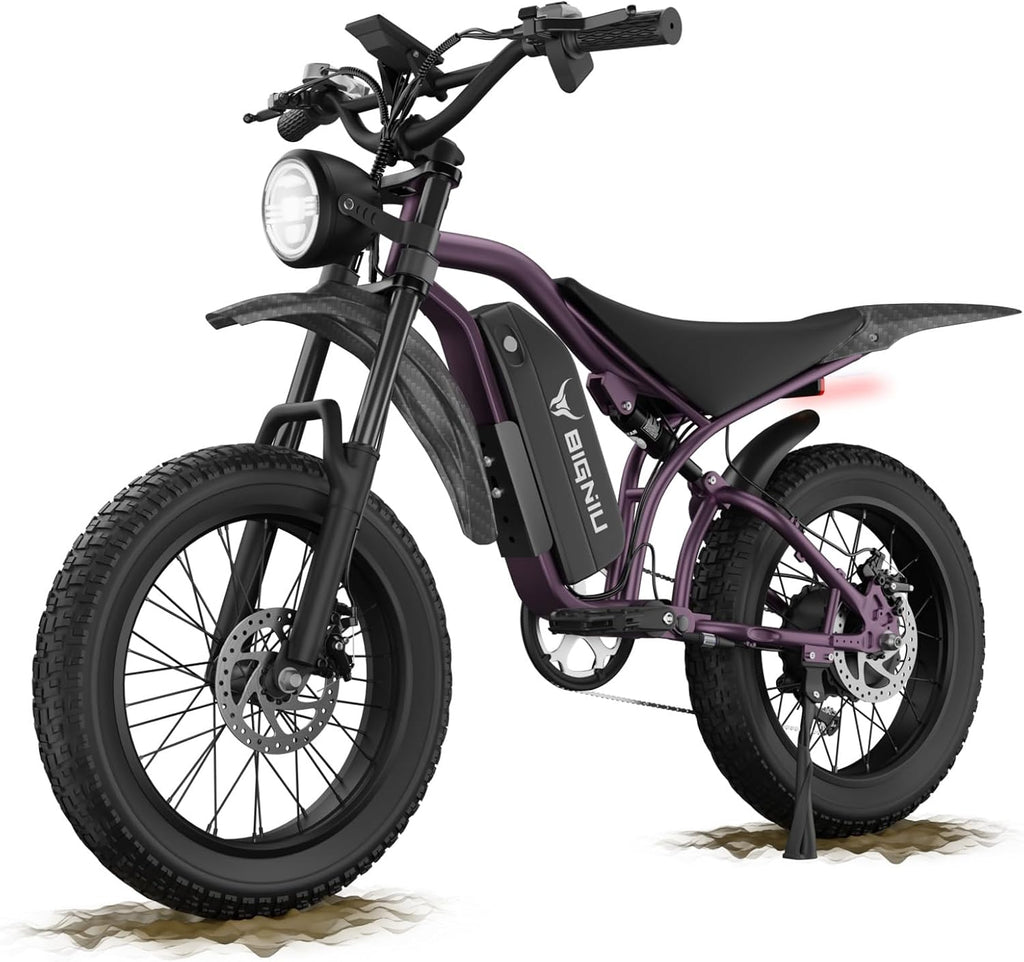 BIGNIU BG-S Electric Bike for Adults – 20'x4.5' Fat Tire, 1200W Motor, 48V 15Ah Battery, 7-Speed, Dual Disc Brakes for Off-Road and City Riding