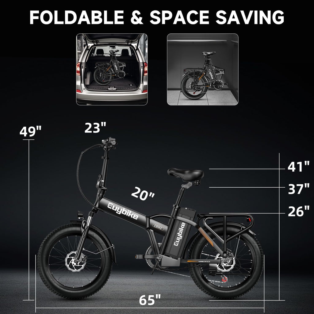 bluebiko 1000W Folding Electric Bike, 48V 20AH Large Removable Battery E Bike, 80 Miles Max Range, 20' Fat Tire Electric Bike for Adults, Adult Electric Bicycles for Commute Beach Snow