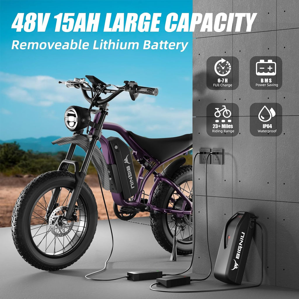 BIGNIU BG-S Electric Bike for Adults – 20'x4.5' Fat Tire, 1200W Motor, 48V 15Ah Battery, 7-Speed, Dual Disc Brakes for Off-Road and City Riding