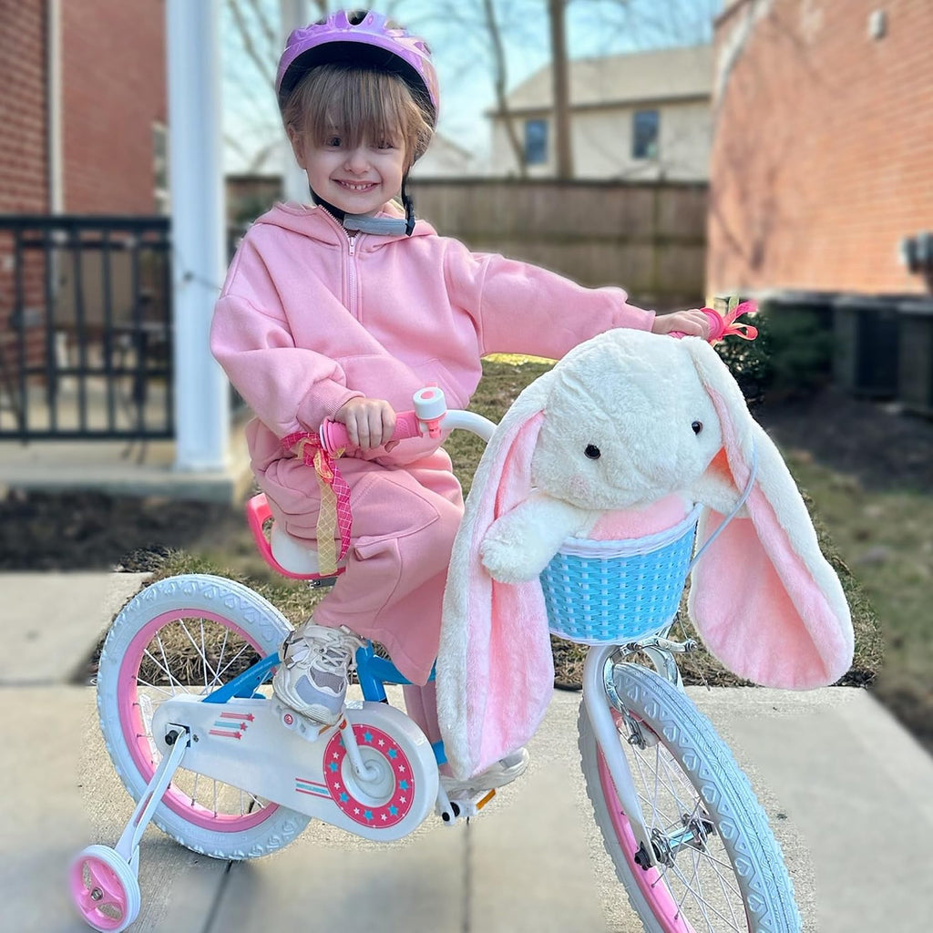 Royalbaby Stargirl Children's Bicycle Outdoor Adventure Ride-On Bike with Training Wheels, Adjustable Seat, and Basket, 14 Inch, Blue