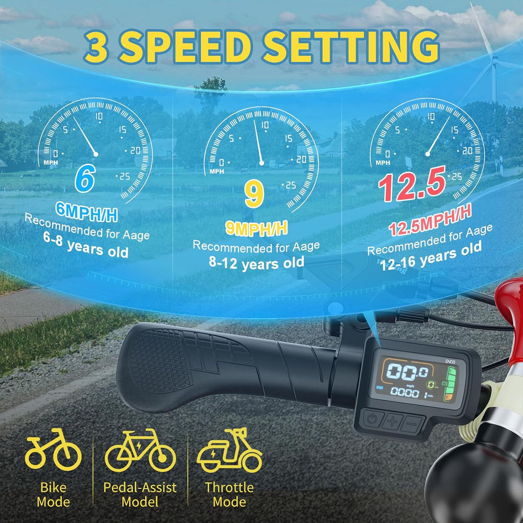 NAIZEA Electric Kids Bike - 16 inch Kids Trike for Boys Girls Age 6-12, e Bike for Children 250W, Kid Balance Bike with Adjustable Seat,Kid's Bikes with Basket, Children Bicycle Multiple Colors