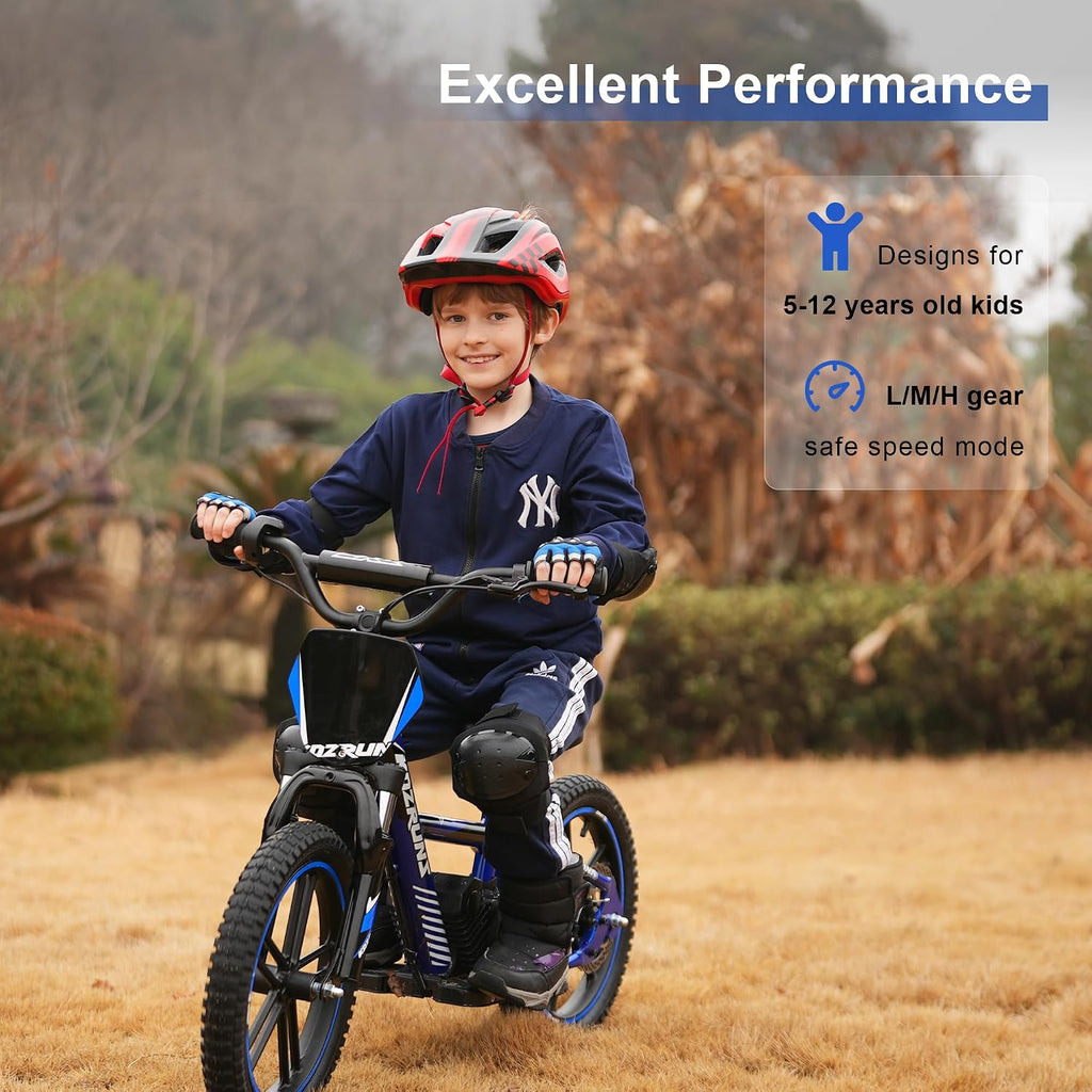 TUIBOKA Electric Dirt Bike for Kids, Professional Version, Electric Motorcycle with 500W Powerful Brushless Motor, 14 MPH, 16 Inch Off Road Tires, Adjustable Seat for Ages 5-12 Blue