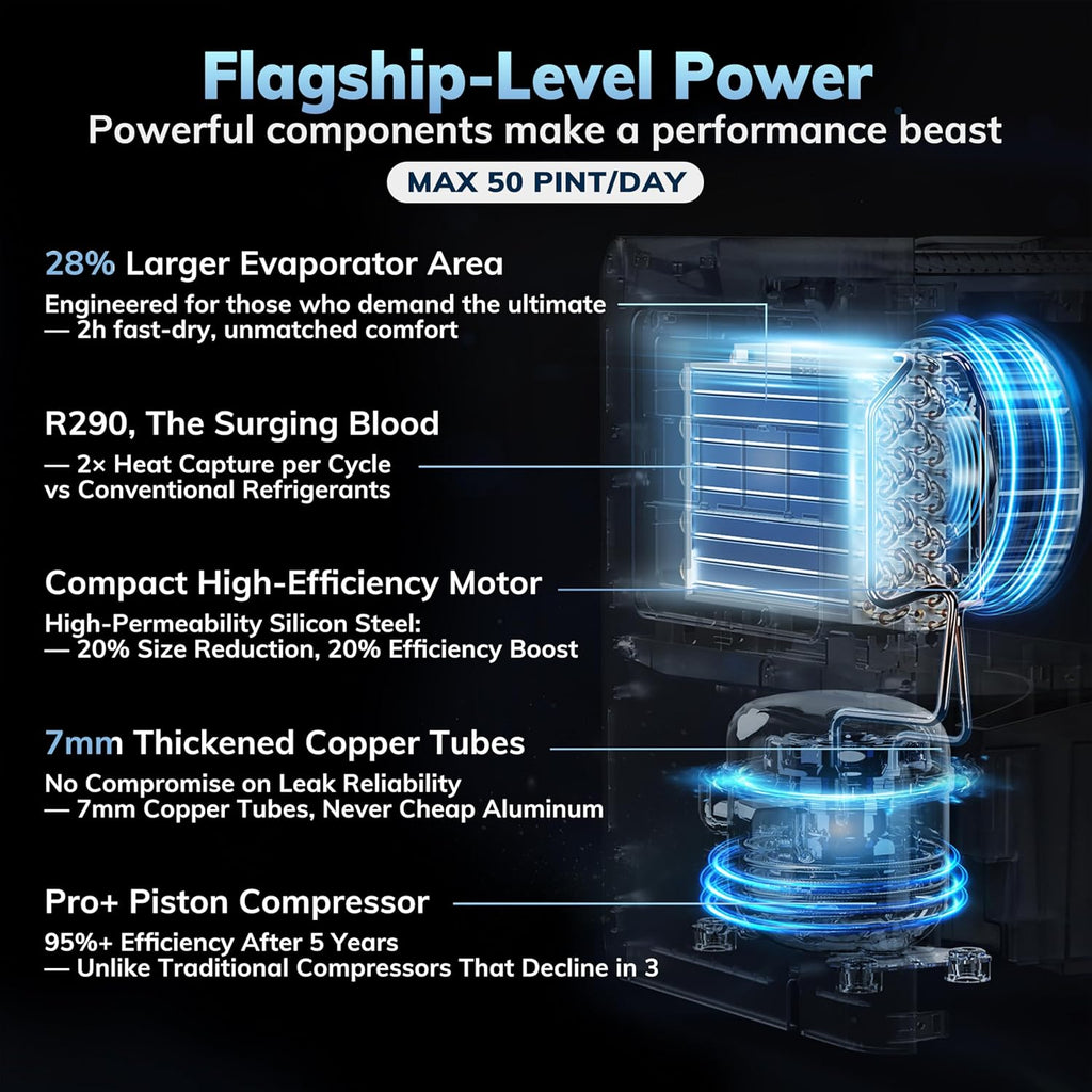 AEOCKY 50 Pint/Day Compressor Dehumidifier, 3500Sq.Ft for Basement, Home, Bedroom, Bathroom, with Drain Hose, Intelligent Humidistat, Quiet