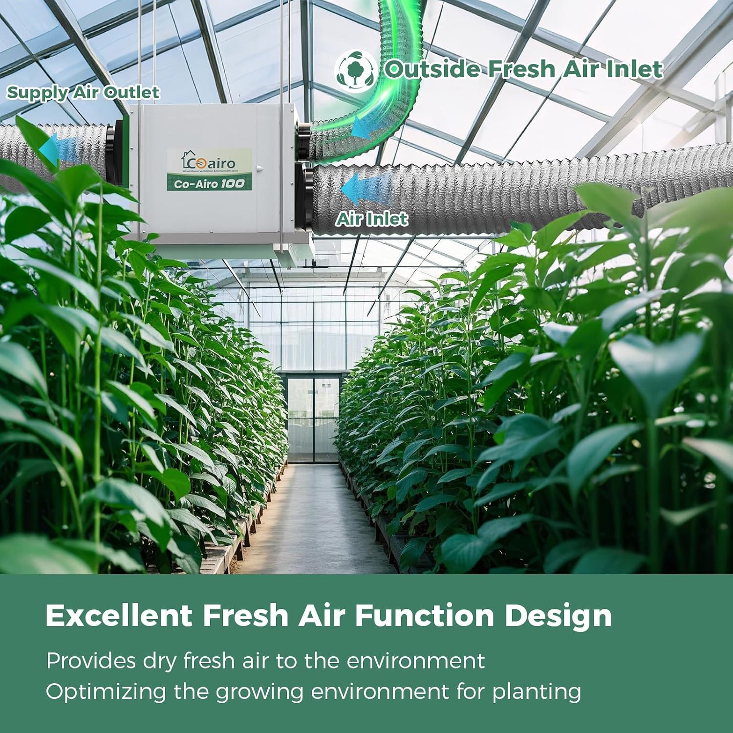 Whole House Dehumidifier, 180 Pint with Fresh Air Function with Controller, Commercial Dehumidifier with Drain Hose Up to 2300 sq. ft. for Grow Tent, Whole House, Commercial, Basement