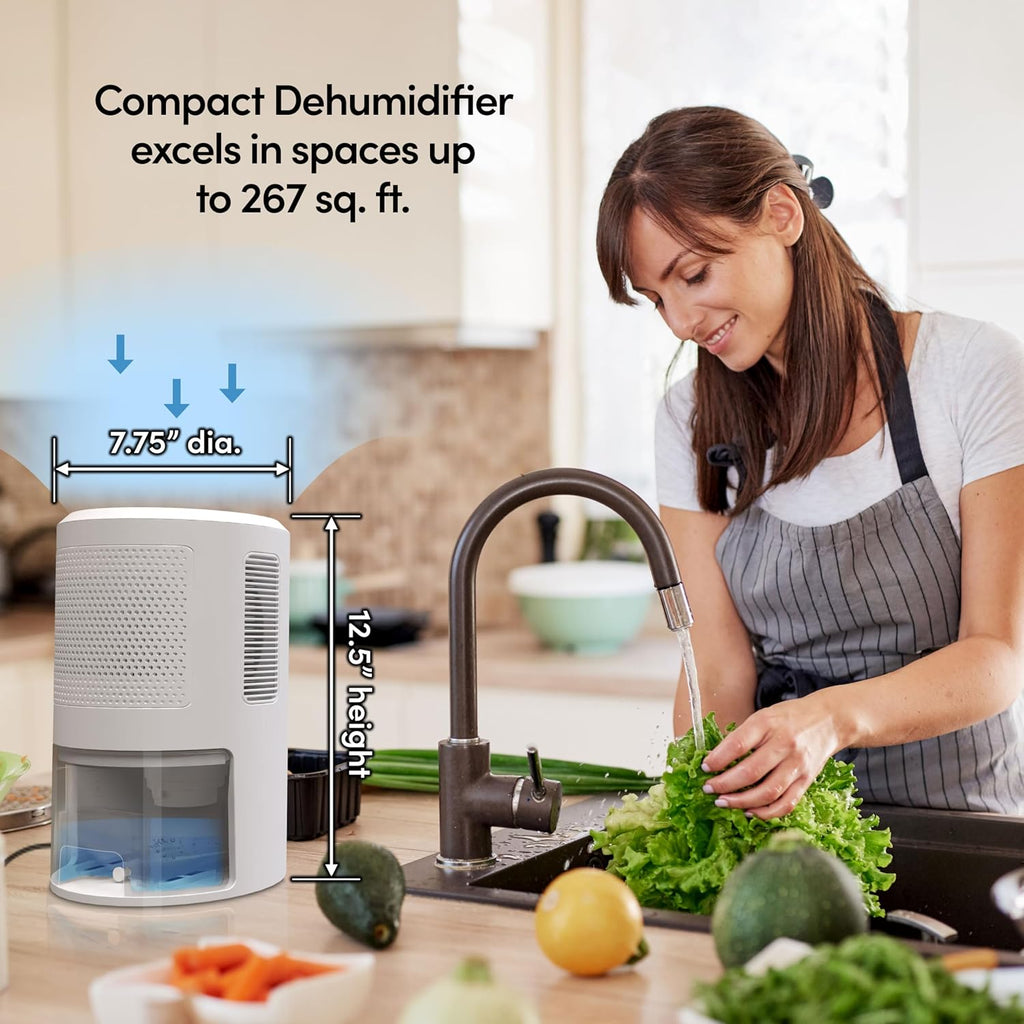 Eva-Dry EDV-2400 Compact and Powerful Dehumidifier | Eliminate Moisture | Energy Efficient | Quiet | Portable | Includes 3-Foot Drain Hose | Ideal for Home, Office, and RV