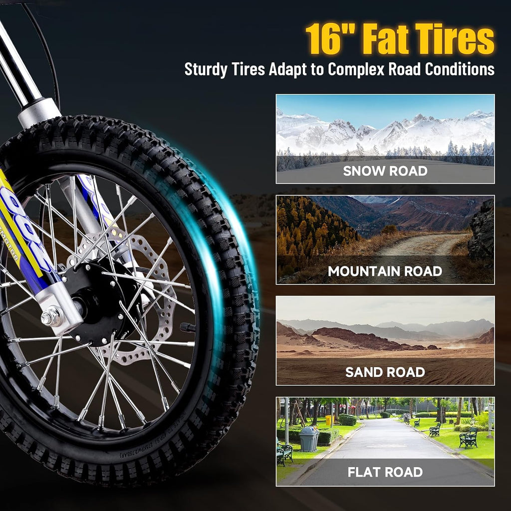 KOOZ HP112E 36V 1000W Electric Dirt Bike for Kids, 3 Speed Modes Teen Electric Motorcycle Up to 18 MPH & 15 Miles Long-Range, Dual Suspension & Disc Brake, 16' Sturdy Tire for Kids Teenagers (Blue)