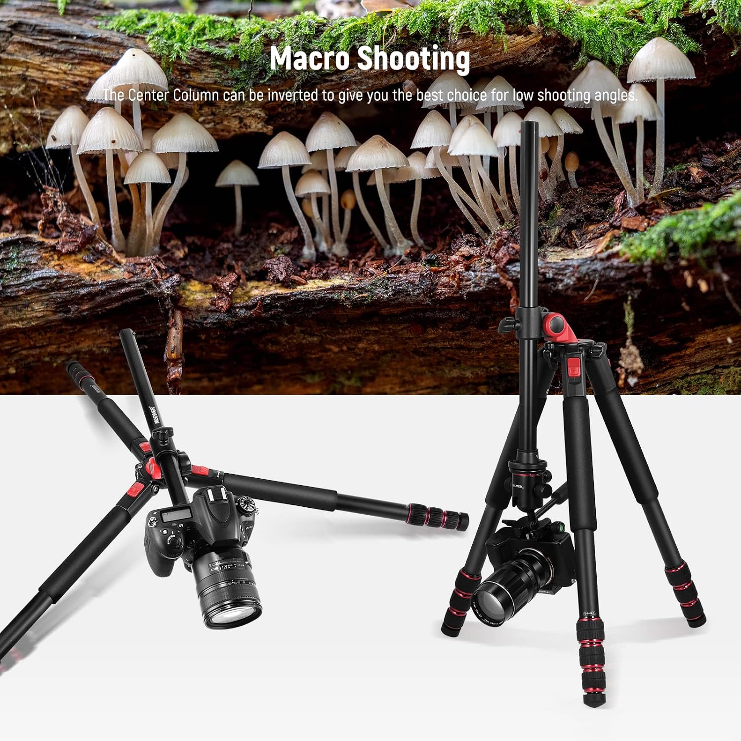 NEEWER 73.6' Horizontal Tripod with Multi Angle Center Column, Ball Head & Central Axis Platform, Heavy Duty Aluminum Camera Tripod Monopod 360° Pan 180° Tilt for Overhead/Macro Shots, Max Load 22lb