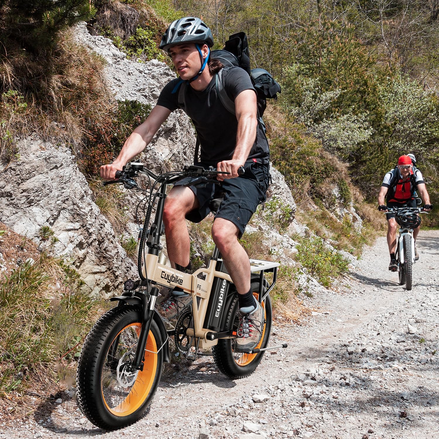 bluebiko 1000W Folding Electric Bike, 48V 20AH Large Removable Battery E Bike, 80 Miles Max Range, 20' Fat Tire Electric Bike for Adults, Adult Electric Bicycles for Commute Beach Snow