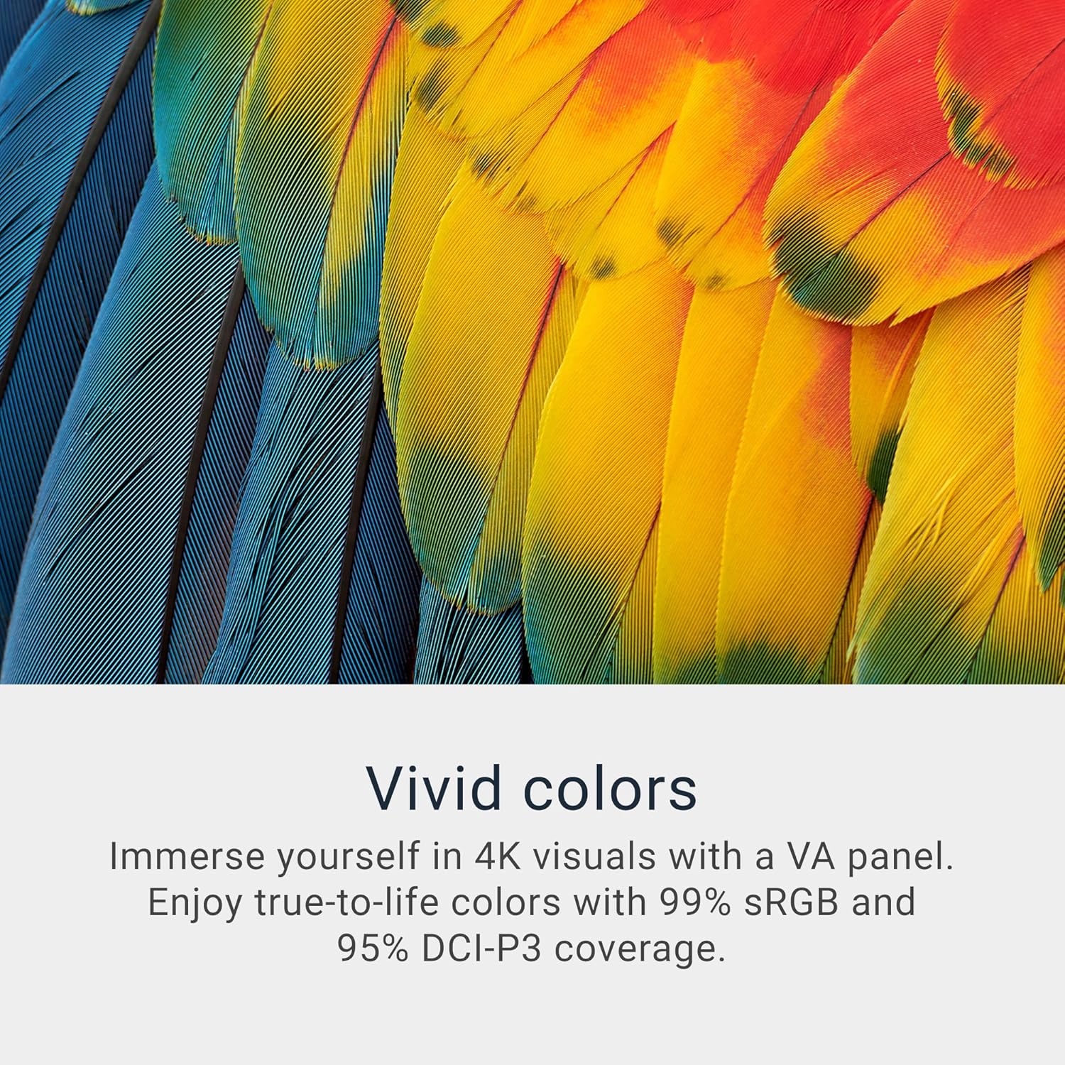 Dell 32 Plus 4K Monitor - S3225QS - 31.5-inch 4K (3840 x 2160) up to 120Hz 16:9 Display, VA Panel, AMD FreeSync Premium, 99% sRGB, 95% DCI-P3, 1500:1 Contrast Ratio, Comfortview - Ash White