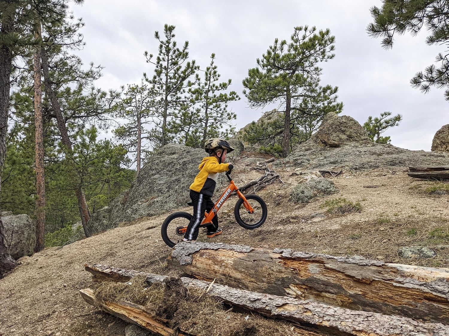 Strider 14x Classic, Balance Bike for Kids 3 to 6 Years - Includes Custom Grips, Padded Seat, Performance Footrest & All-Purpose Tires - Easy Assembly & Adjustments