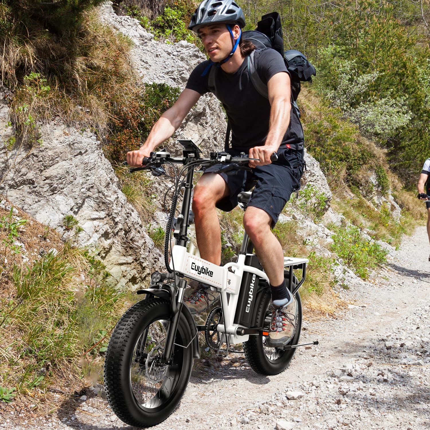 bluebiko 1000W Folding Electric Bike, 48V 20AH Large Removable Battery E Bike, 80 Miles Max Range, 20' Fat Tire Electric Bike for Adults, Adult Electric Bicycles for Commute Beach Snow