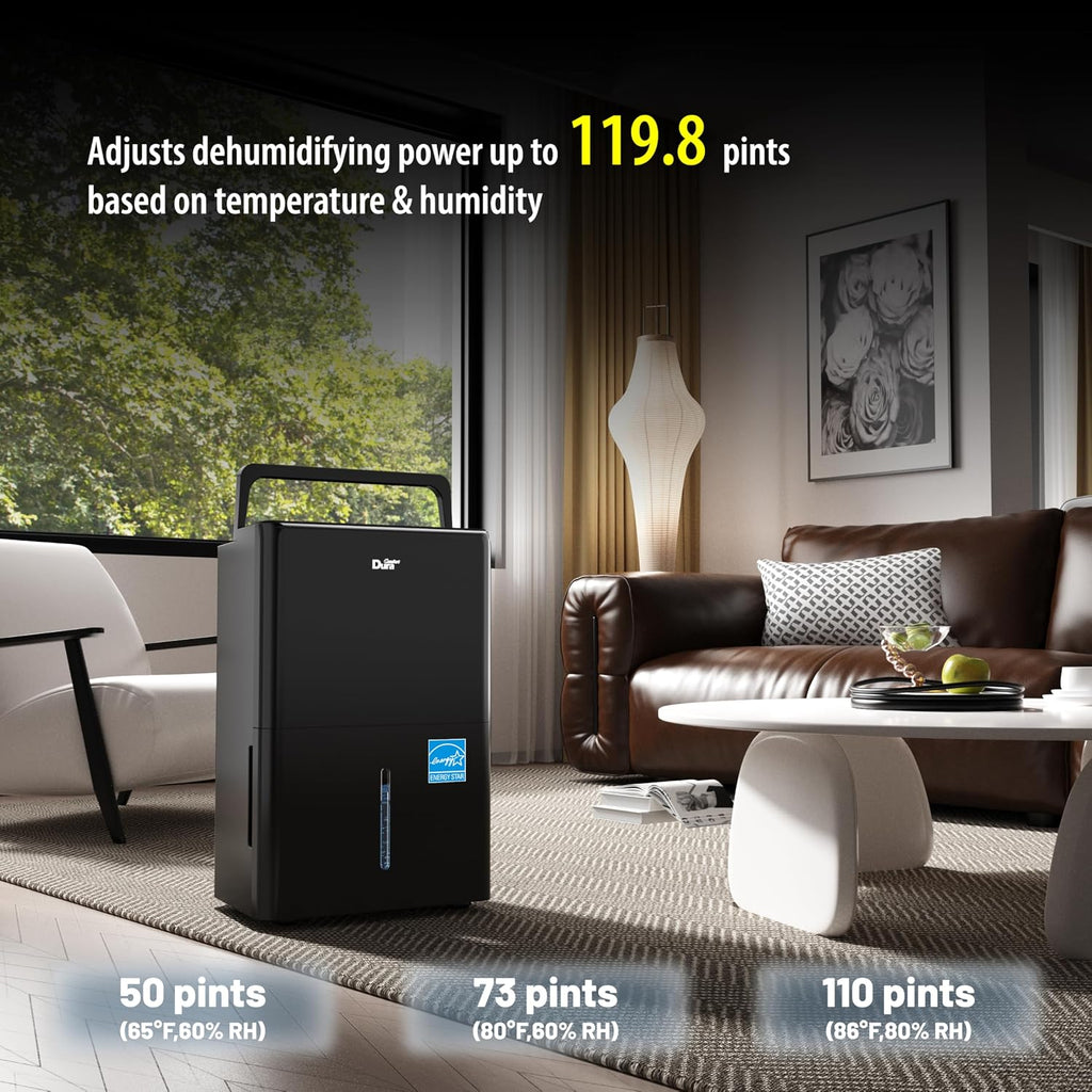 dehumidifier (Black, with pump no wifi)
