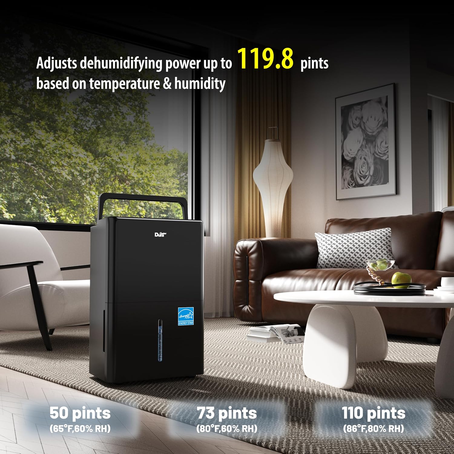 dehumidifier (Black, with pump no wifi)